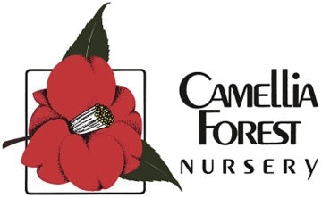 Camellia Forest Nursery logo