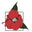 camforest.com-logo