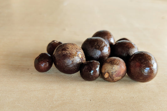 Camellia sinensis 'China' seeds at Camellia Forest Nursery