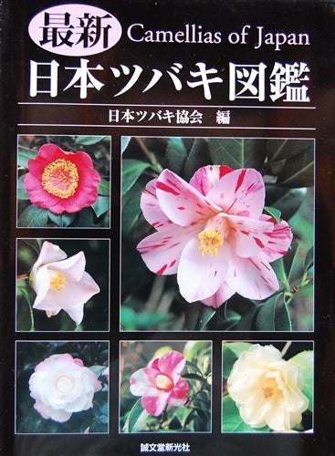 Camellia of Japan at Camellia Forest Nursery