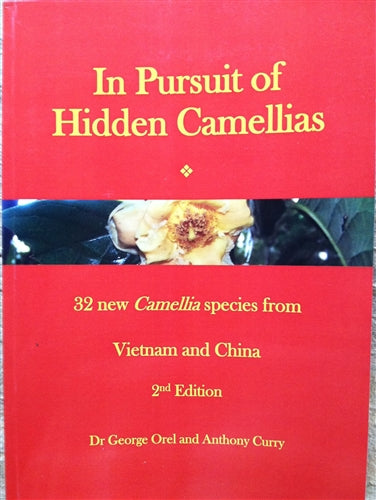 In Pursuit of Hidden Camellias