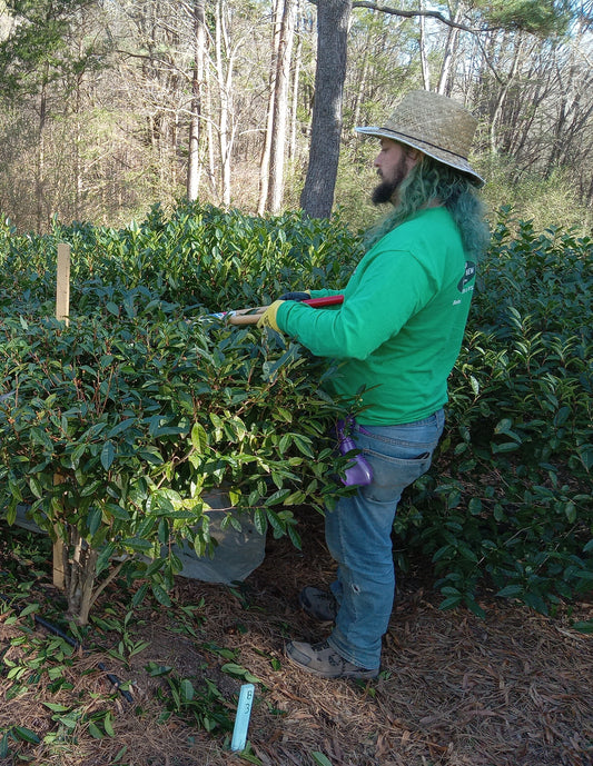 Hands-on Pruning Workshop