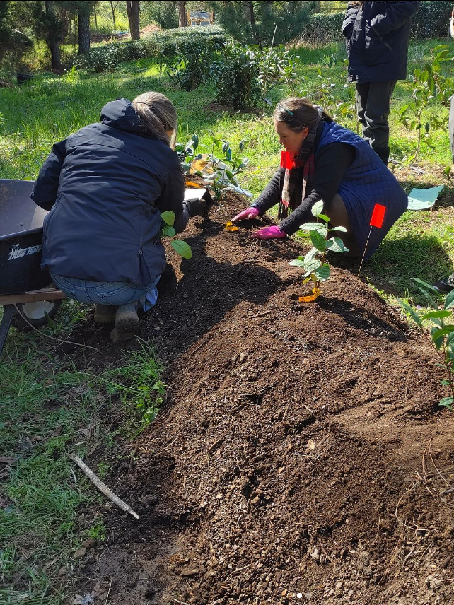 Spring Tea Planting Workshop